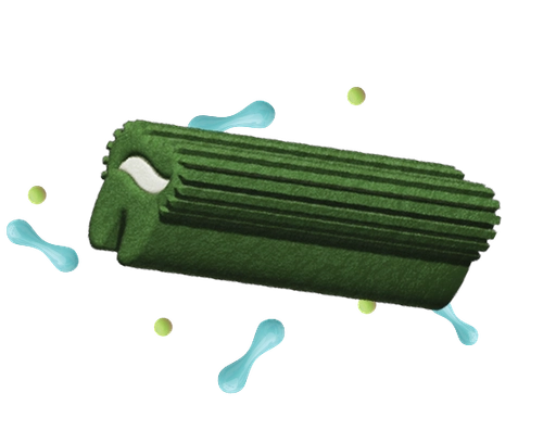 Dinovite Chews Wide 1.png