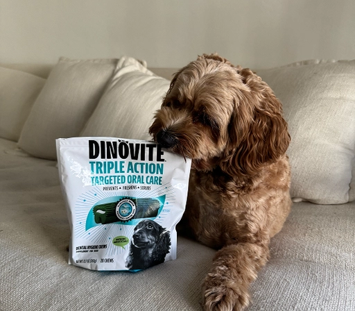Fresh breath, clean teeth, and no fuss